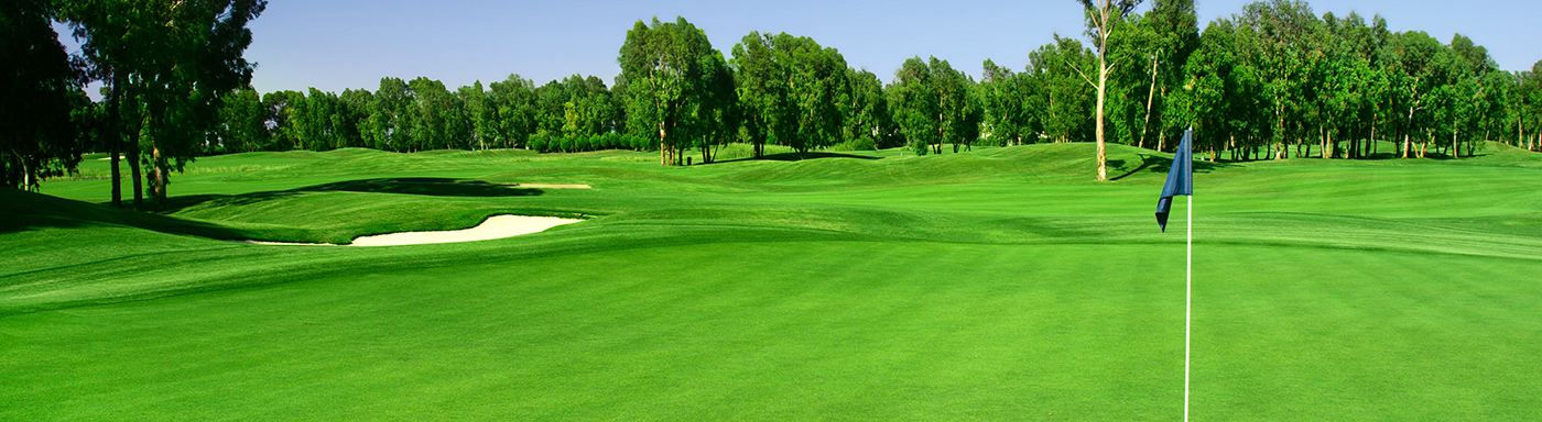 Golf course with turf
